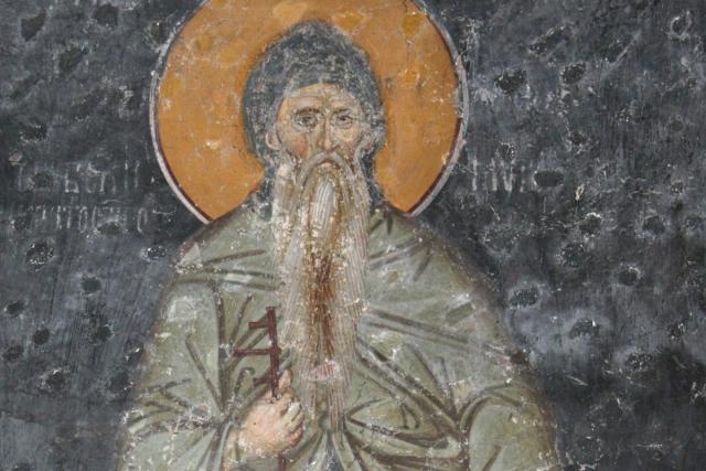 Bobițele de struguri de la Mănăstirea Hilandar ajută soții neroditori să dobândească prunci