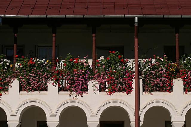 „Dacă voia lui Dumnezeu este în noi, şi Cerul este în noi, prin împlinirea poruncilor Lui”