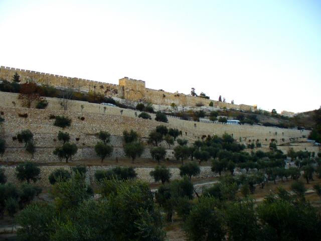 Valea lui Iosafat