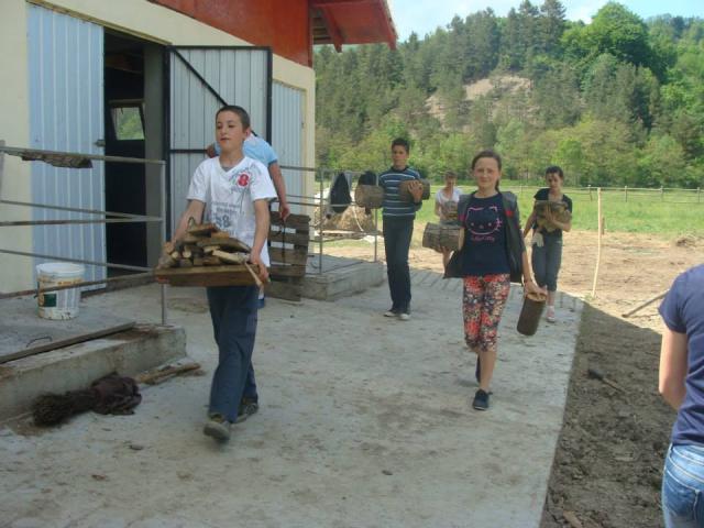 Voluntariat timp de o săptămână la Hârja