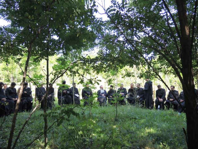 „Sfinţii Martiri Brâncoveni - modele pentru creştinii de azi. Rolul mirenilor în mărturisirea credinţei“