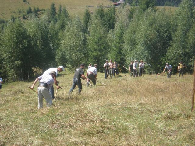 Parohiile Protoieriei Câmpulung Moldovenesc, în sprijinul căminului de bătrâni din Suceava