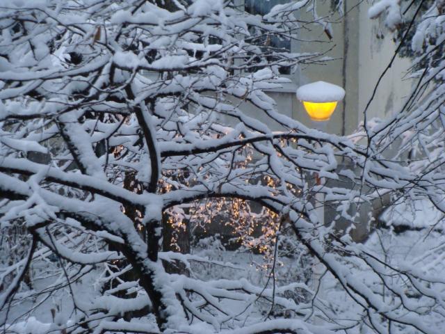Concurs fotografie Bucuria Sărbătorilor de iarnă (Foto 2) - Andreea Neacșu