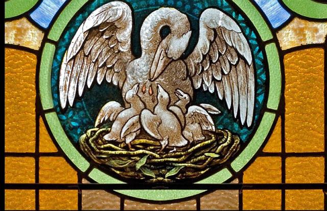 Pelicanul – simbol al Mântuitorului