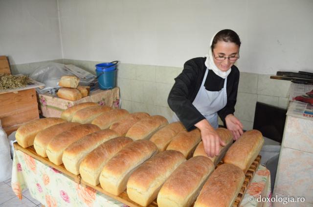 Coacerea pâinii la Mănăstirea Războieni