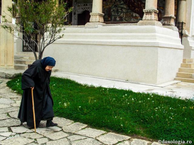 Inima nu îmbătrâneşte niciodată