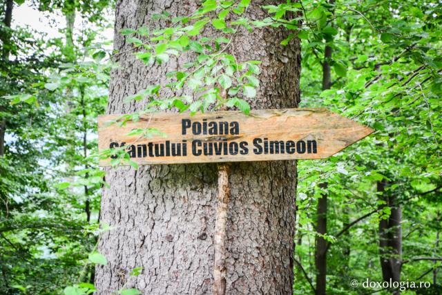 Cum a ajuns voievodul Alexandru Lăpuşneanu la Pângărați?