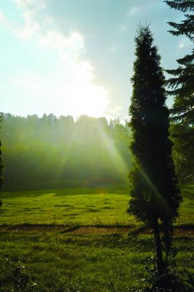 Prenemţişor, preludiul unei mari întâlniri