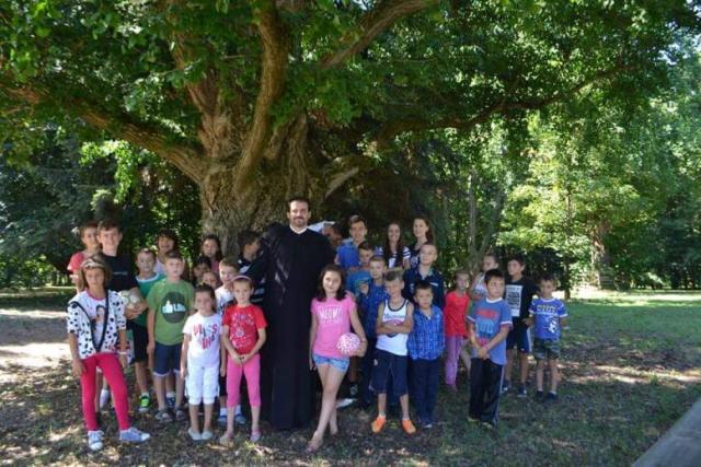 Școală de vara în Parohia Văleni, Protopopiatul Roman