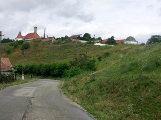 Vizită pastoral-misionară la Centrul de Recuperare şi Reabilitare Neuropsihiatrică de la Galda de Jos