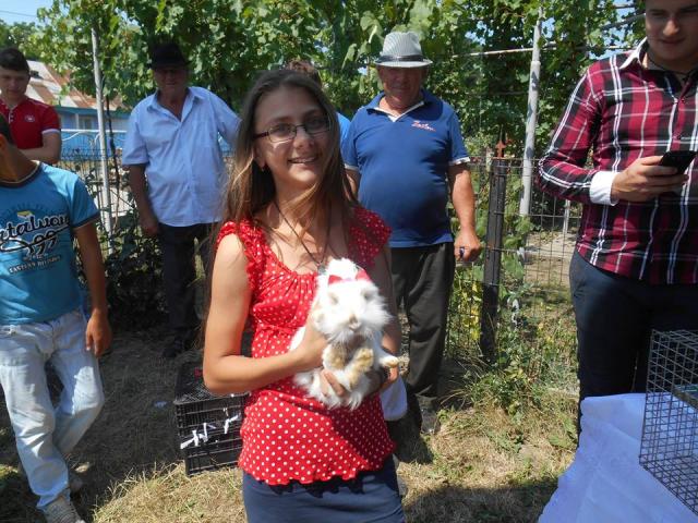 Proiectul „Lumina Bucuriei”, în Parohia Chișcăreni
