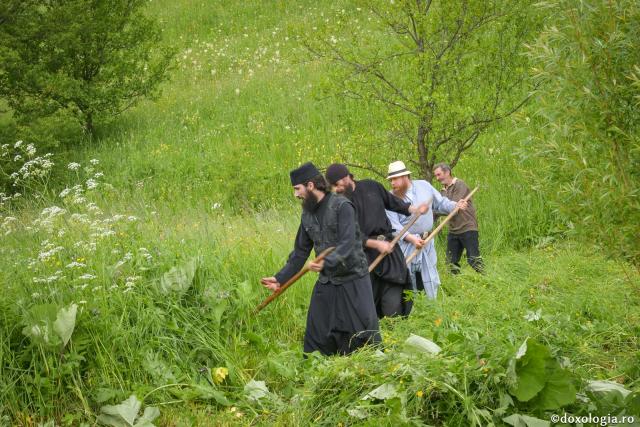 Al treilea așezământ al vieții monahale - ascultările mănăstireşti să fie după înţelegerea poruncilor lui Hristos