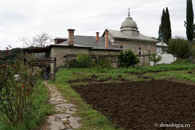 Ieromonahul Alexandru: Amintiri din Sfântul Munte Athos