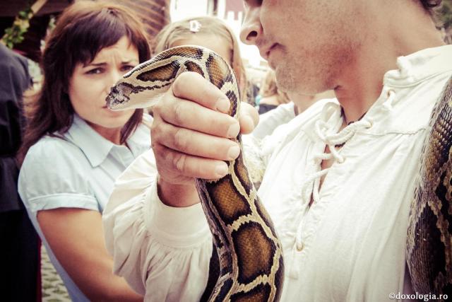 Cum înțelegem expresia „fiţi înţelepţi ca şerpii”?