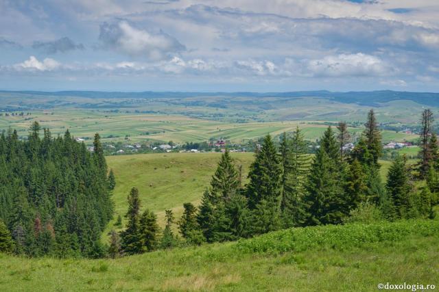 Natura - tovarășul și ajutorul omului