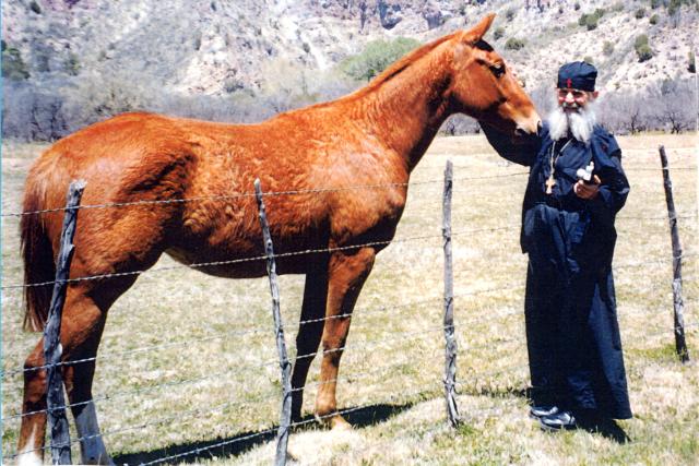 Părintele Efrem Filotheitul (galerie foto)