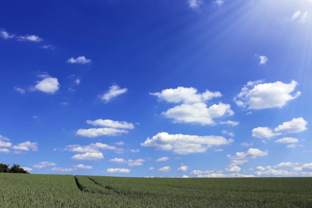 Iubirea nu rabdă să piară nici măcar un singur suflet