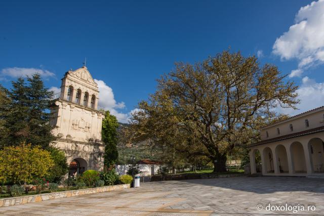 Clopotniţa mănăstirii, biserica veche şi unul din platanii sădiţi de Sfântul Gherasim