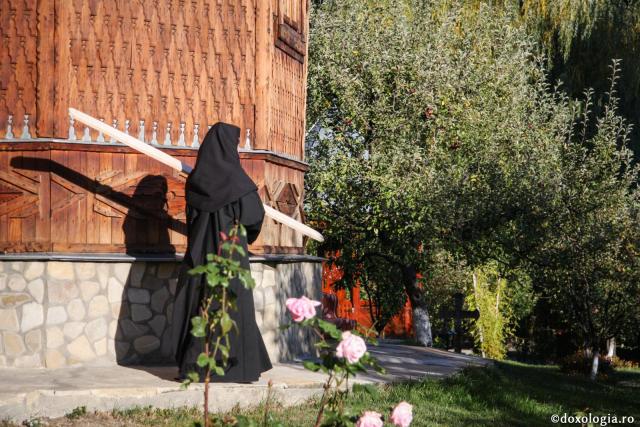 „Nu mă voi ruşina când voi căuta spre toate poruncile tale”