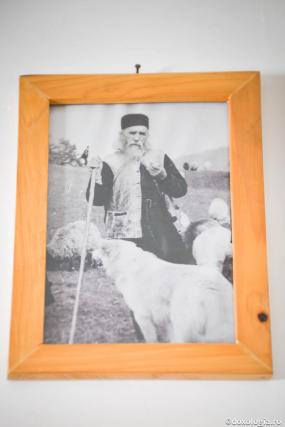 Părintele Cleopa Ilie