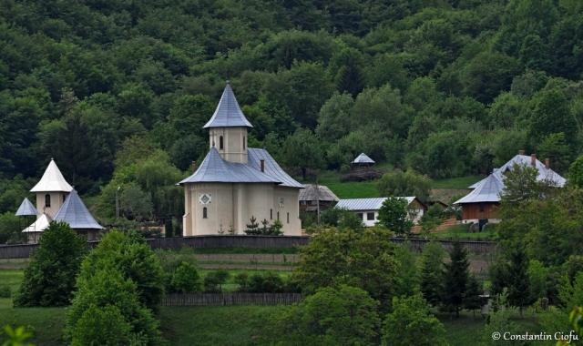 Bisericile Vovideniei din Moldova