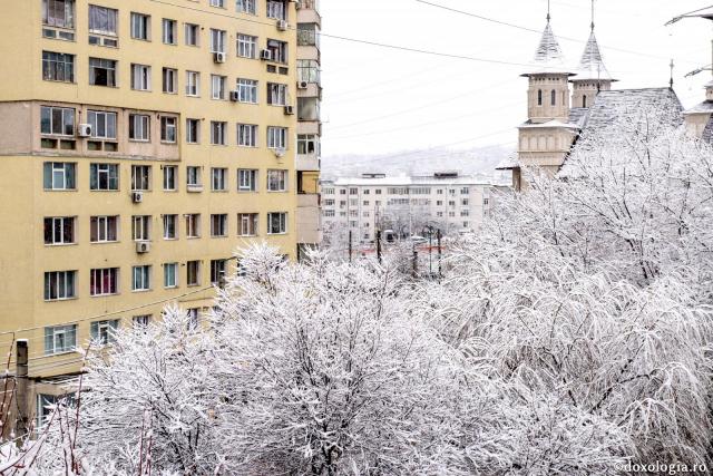 Cârtirea este ca bruma de toamnă