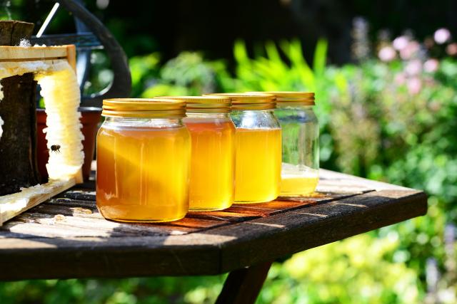 Zece remedii cu miere de albine împotriva tuberculozei