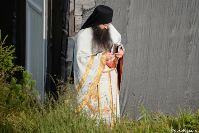 preot privind în telefon