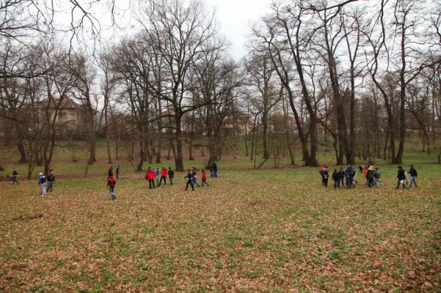 Elevii din Sibiu sunt invitaţi să participe la două acţiuni de ecologizare