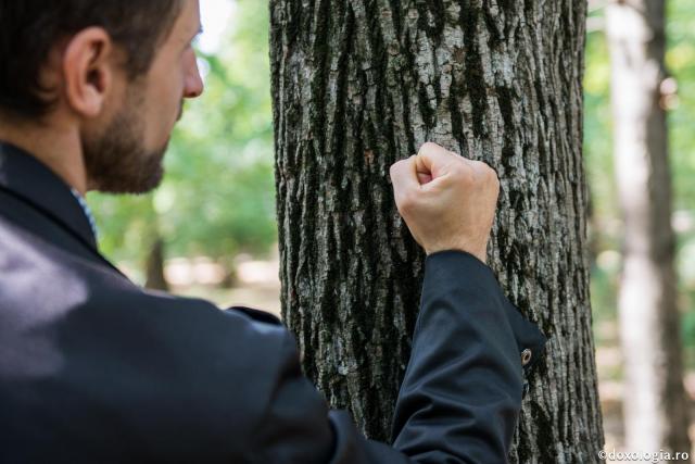 bărbat ținând pumnul strâns pe scoarța unui copac