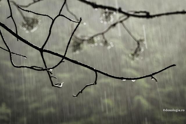Ploaia torențială nu l-a udat pe Cuviosul Iacov