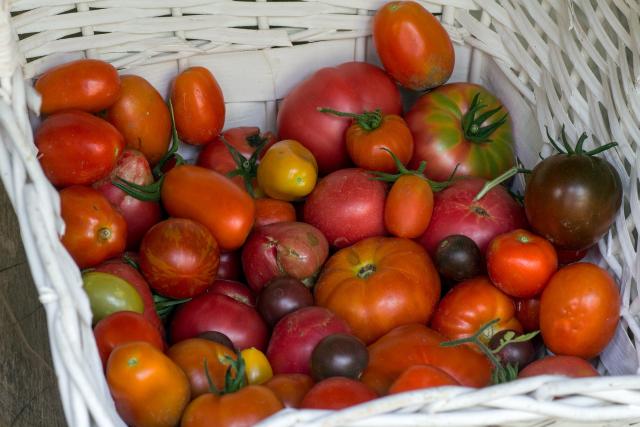 Tomatele, esenţiale în regimul alimentar al bolnavilor cu blocaj renal