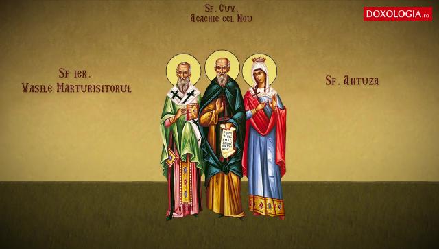 Sfântul Ierarh Vasile Mărturisitorul, Episcopul Pariei