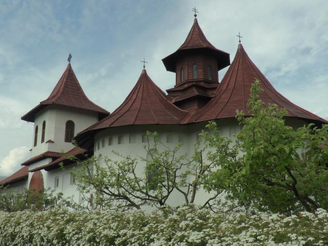 Bucurie duhovnicească la Căminul de bătrâni „Sfântul Ioan cel Nou” din Suceava
