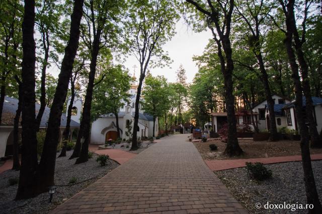 Mănăstirea „Sfântul Gherman” din Platina, California