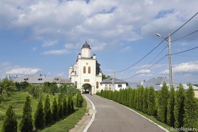 Mănăstirea Pasărea - un monument istoric la marginea Bucureștiului (galerie FOTO)
