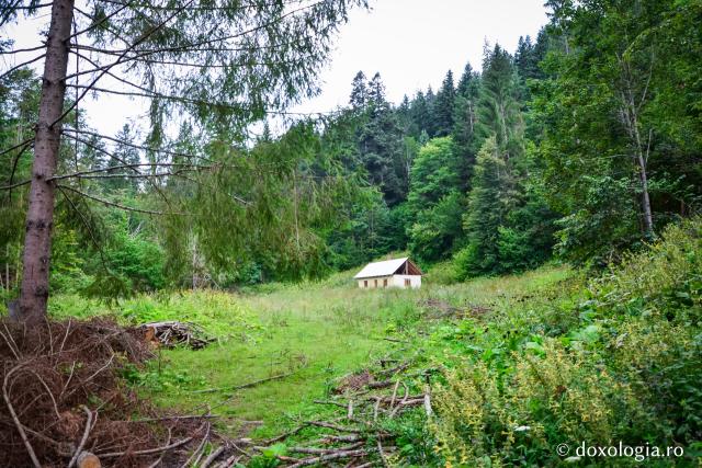 casă în pădure