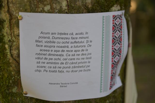 Tabăra de la Nemțișor: „Tinerii sunt invitați să-L cunoască pe Dumnezeu și să nu-L uite niciodată”