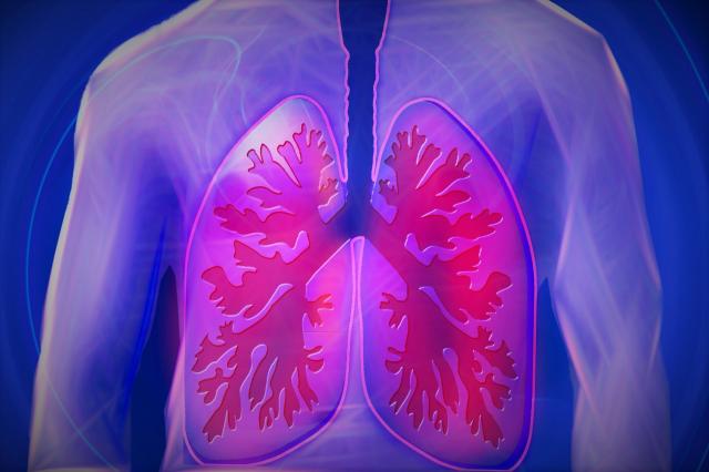 Leacul bunicii pentru tuberculoza pulmonară