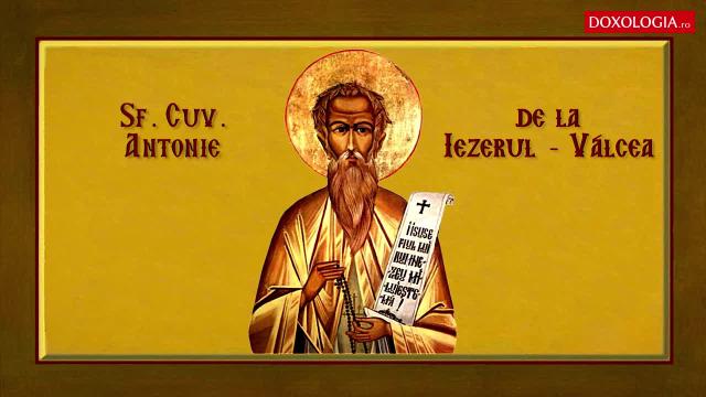 Troparul Sfântului Cuvios Antonie de la Iezerul-Vâlcea