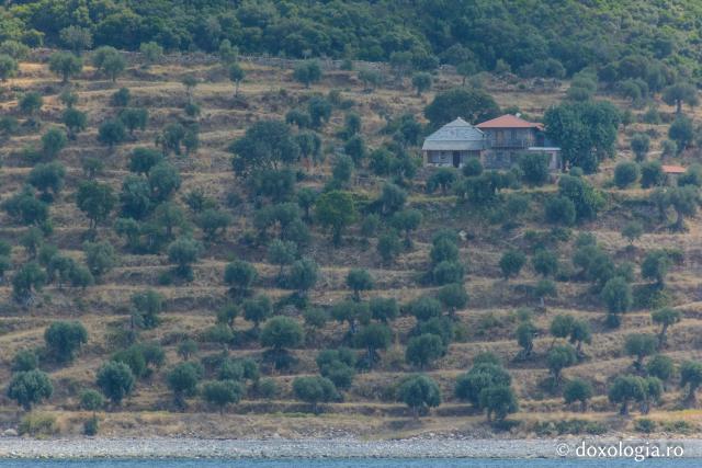 Kathisma „Sfântul Nicolae Hrisokamari” – Xenofont, Athos