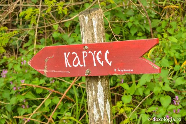 Kareia