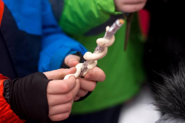 S-a încheiat a VII-a ediţie a taberei de iarnă „Floare de colţ“