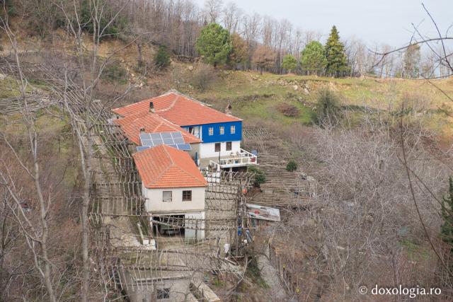 Chilia „Adormirea Maicii Domnului” Kastania – Provata, Athos