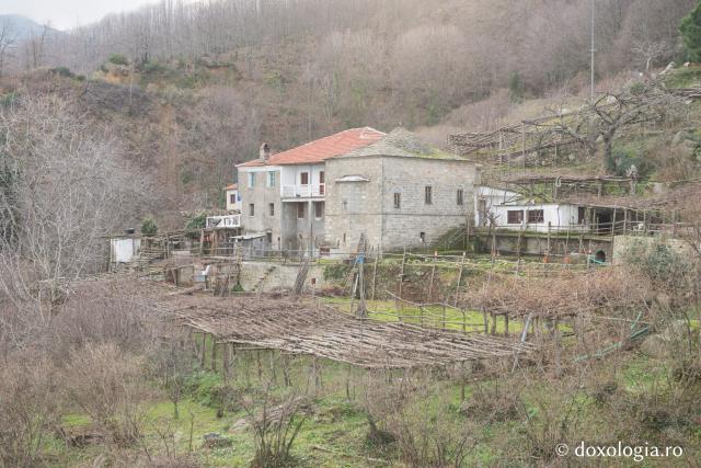 Chilia „Adormirea Maicii Domnului” Kastania – Provata, Athos