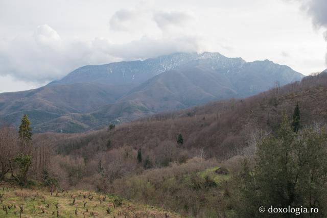 Chilia „Adormirea Maicii Domnului” Kastania – Provata, Athos