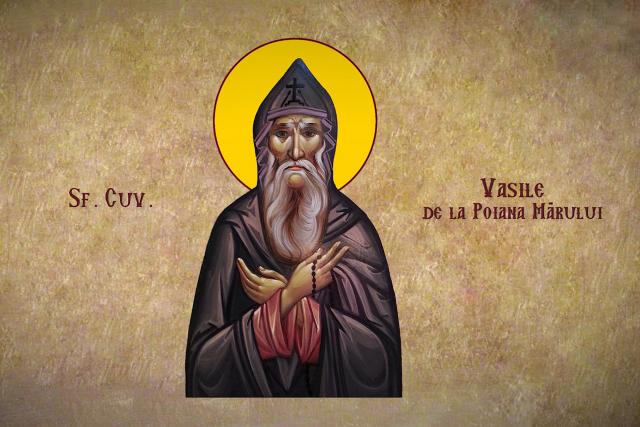 Sfântul Cuvios Vasile de la Poiana Mărului ‒ drumul spre sfințenie