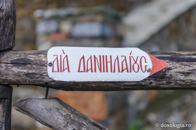 Chilia Danieleilor din pustia Sfântului Munte