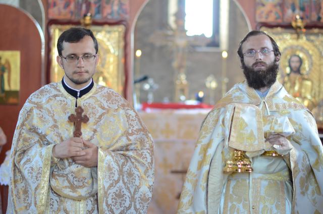 Tinerii ascoreni în misiune în satul Unguroaia