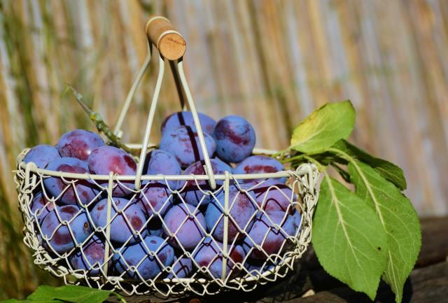 Beneficiile oțetului de prune